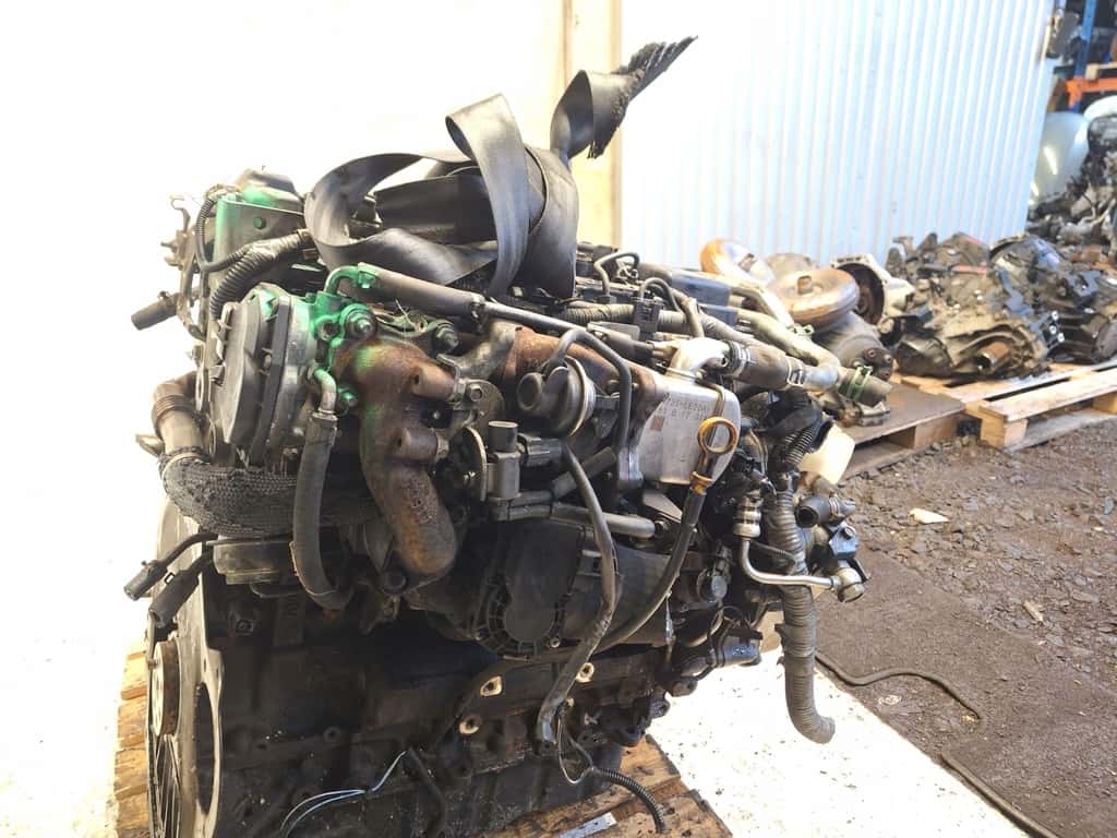Moteur ZD30 vue 8