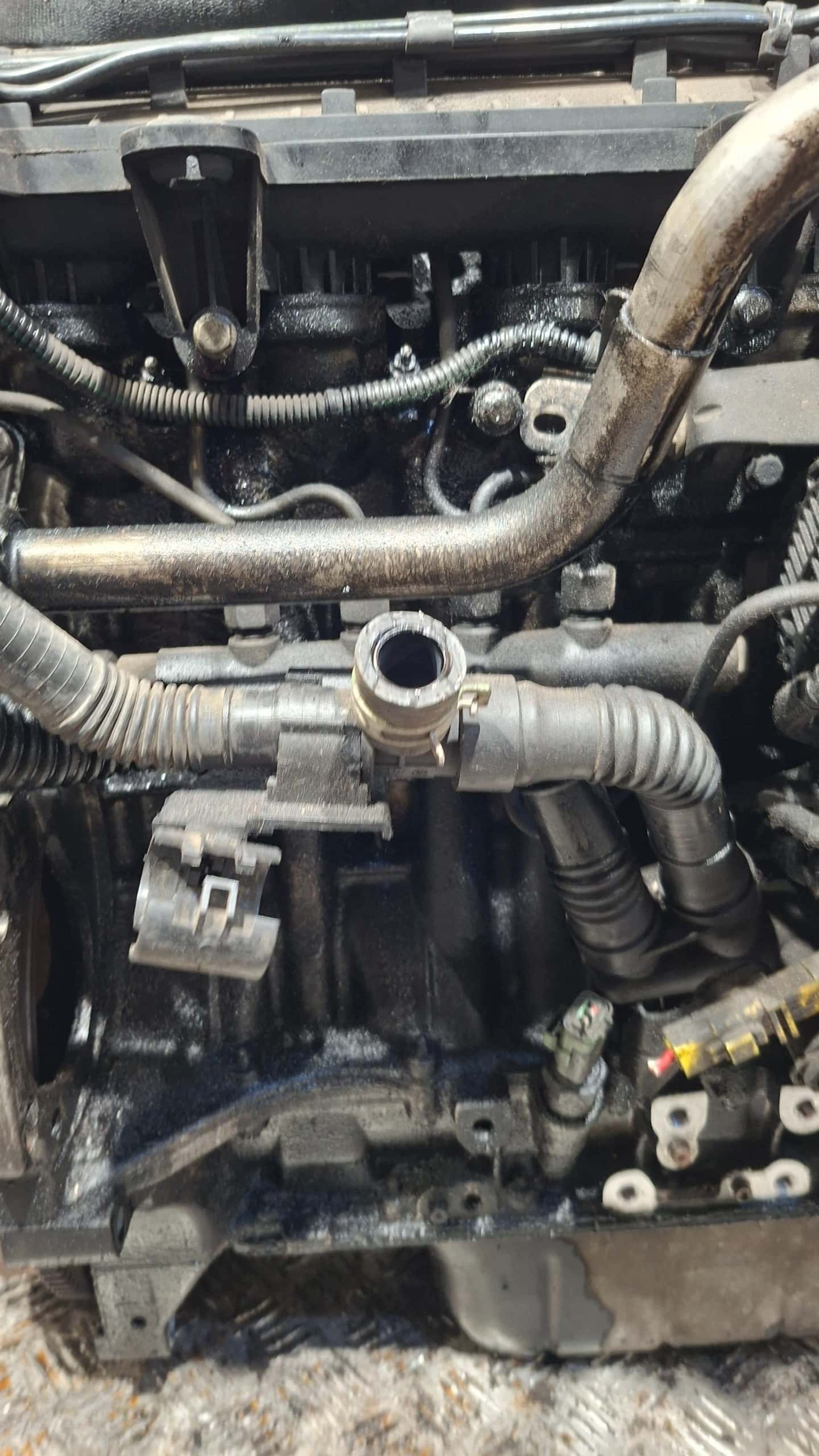 Moteur 8HZ (DV4TD) vue 7