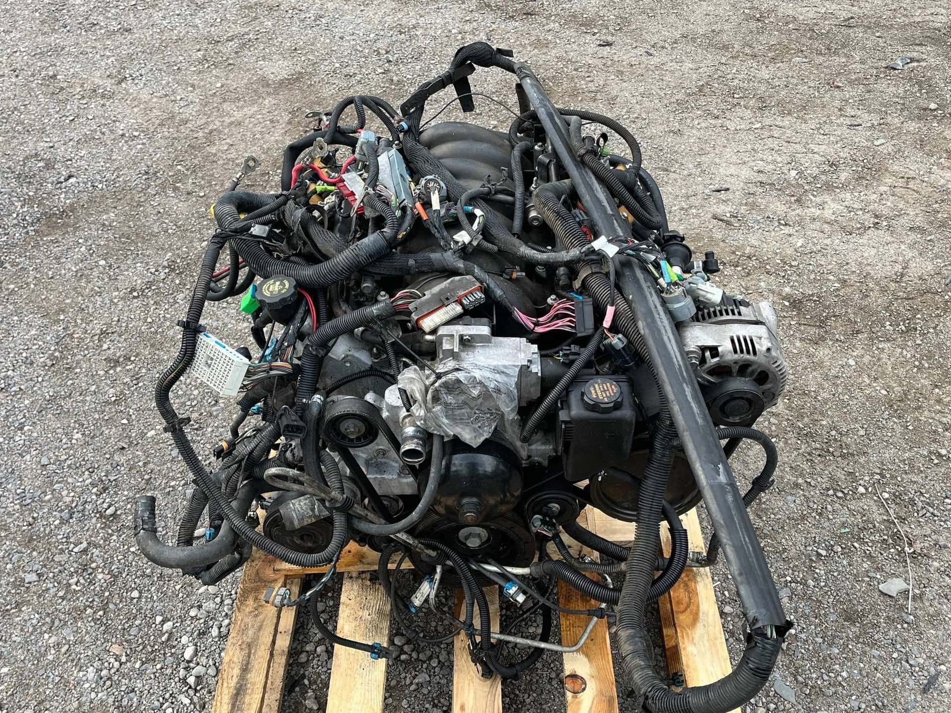 Moteur LS1 vue 2
