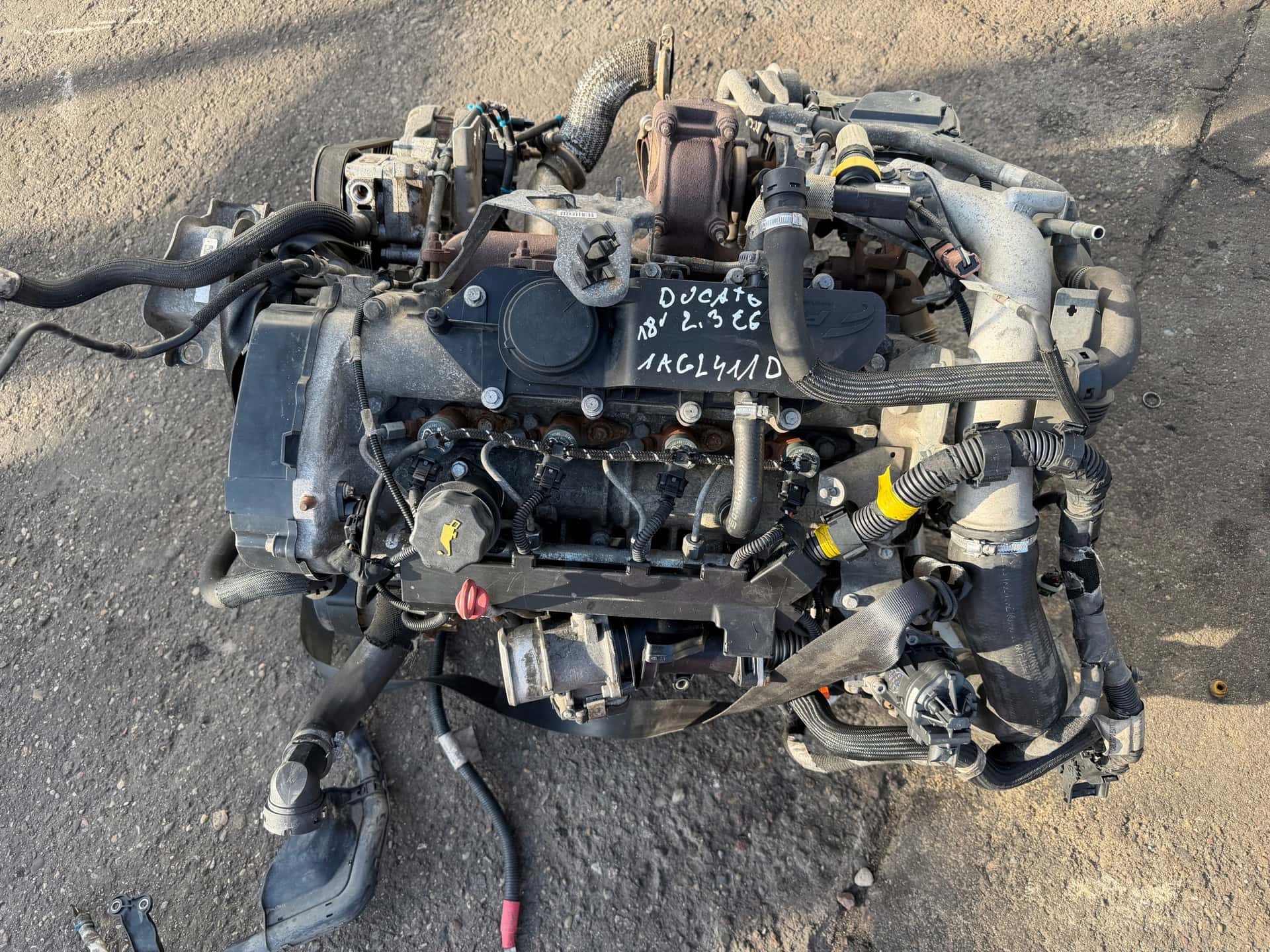 Moteur F1AGL411D vue 2