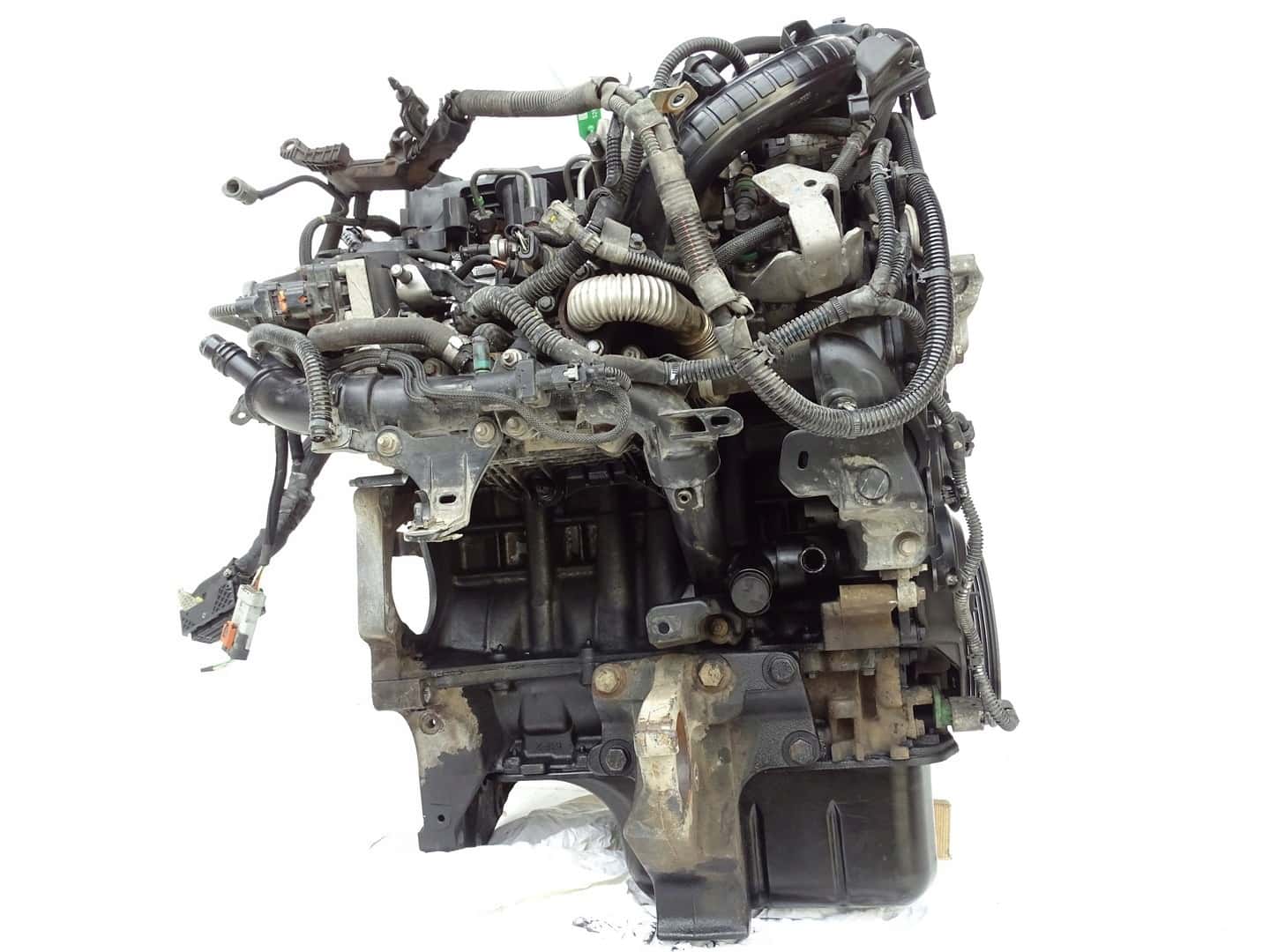 Moteur D 15 DTH (DV5RC) vue 5