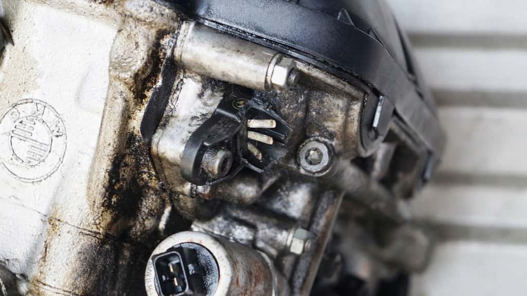 Moteur M54 B25 (256S5) vue 4