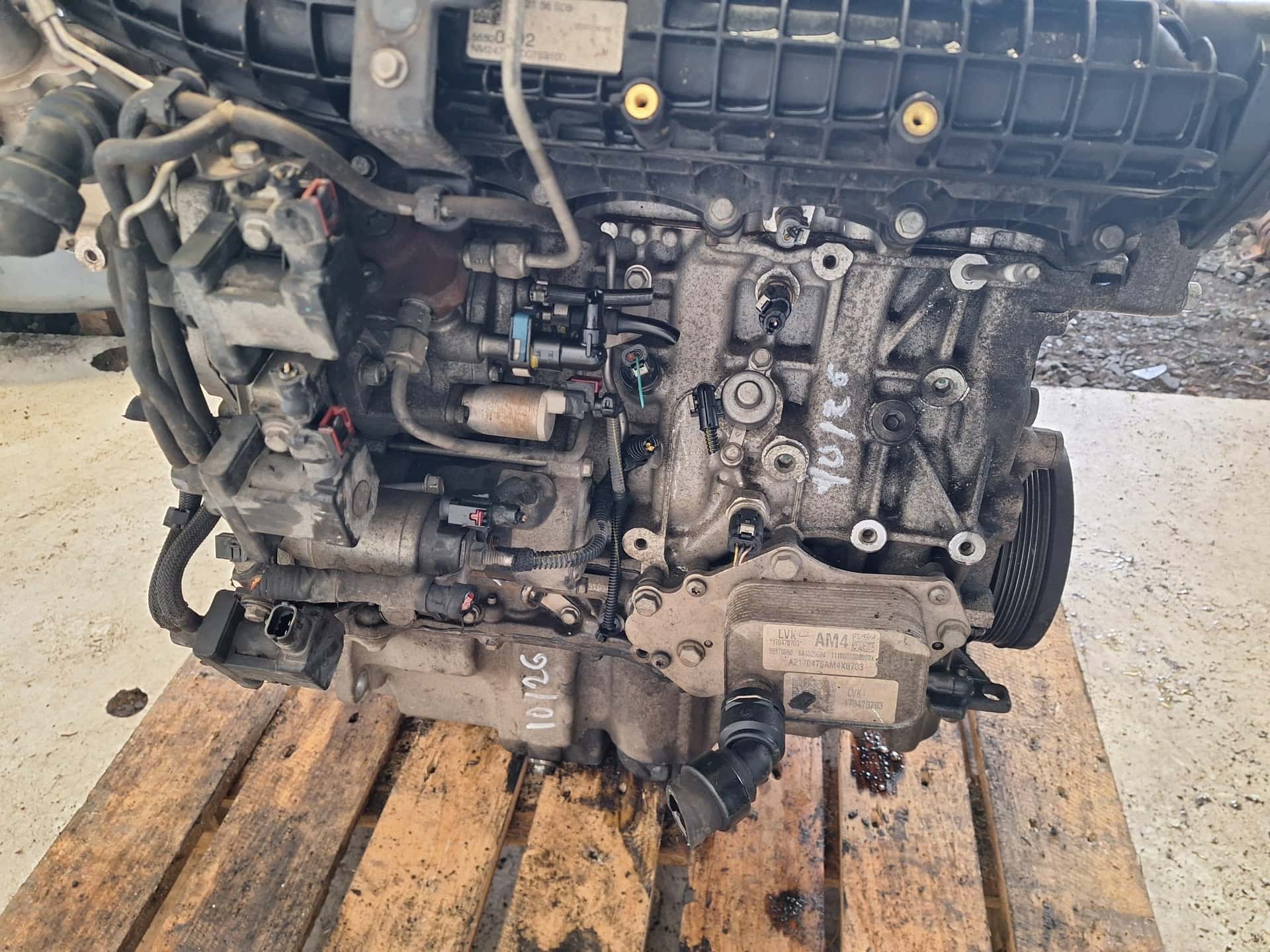 Moteur B 16 DTR vue 8