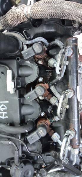 Moteur 4HR (DW12BTED4) — vue 2