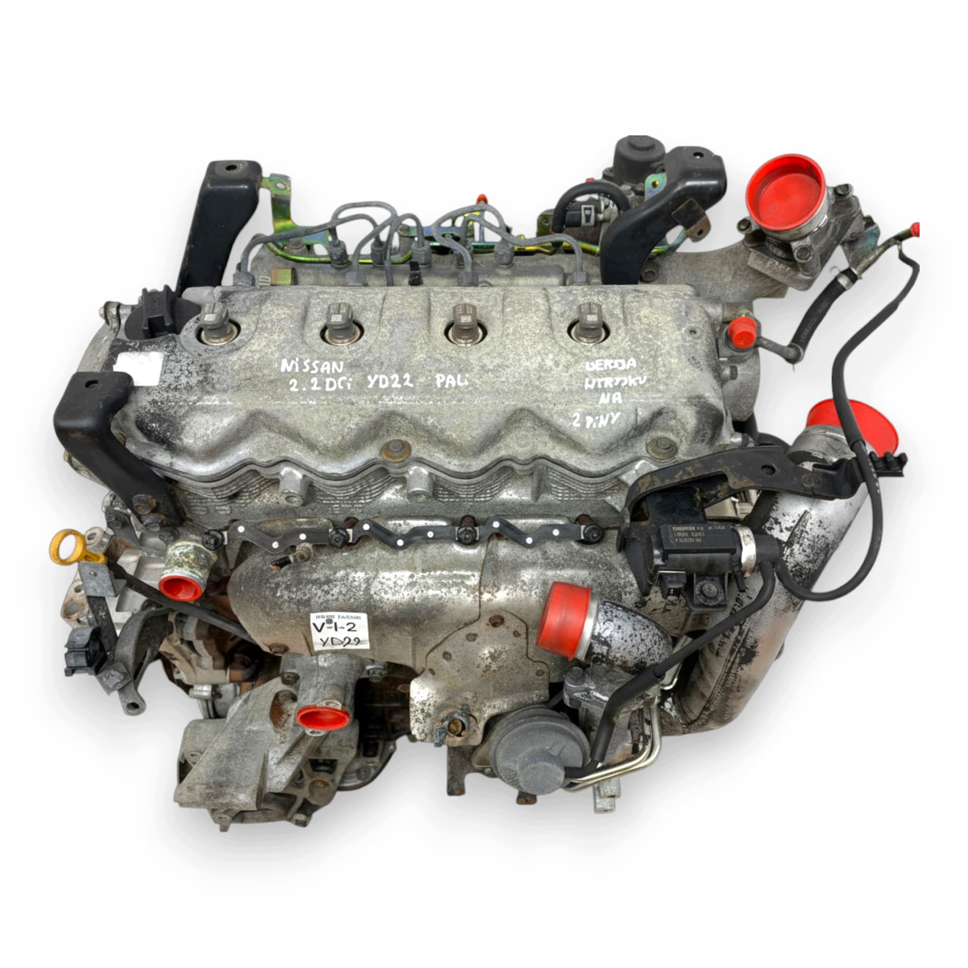 Moteur YD22DDTi — vue 3