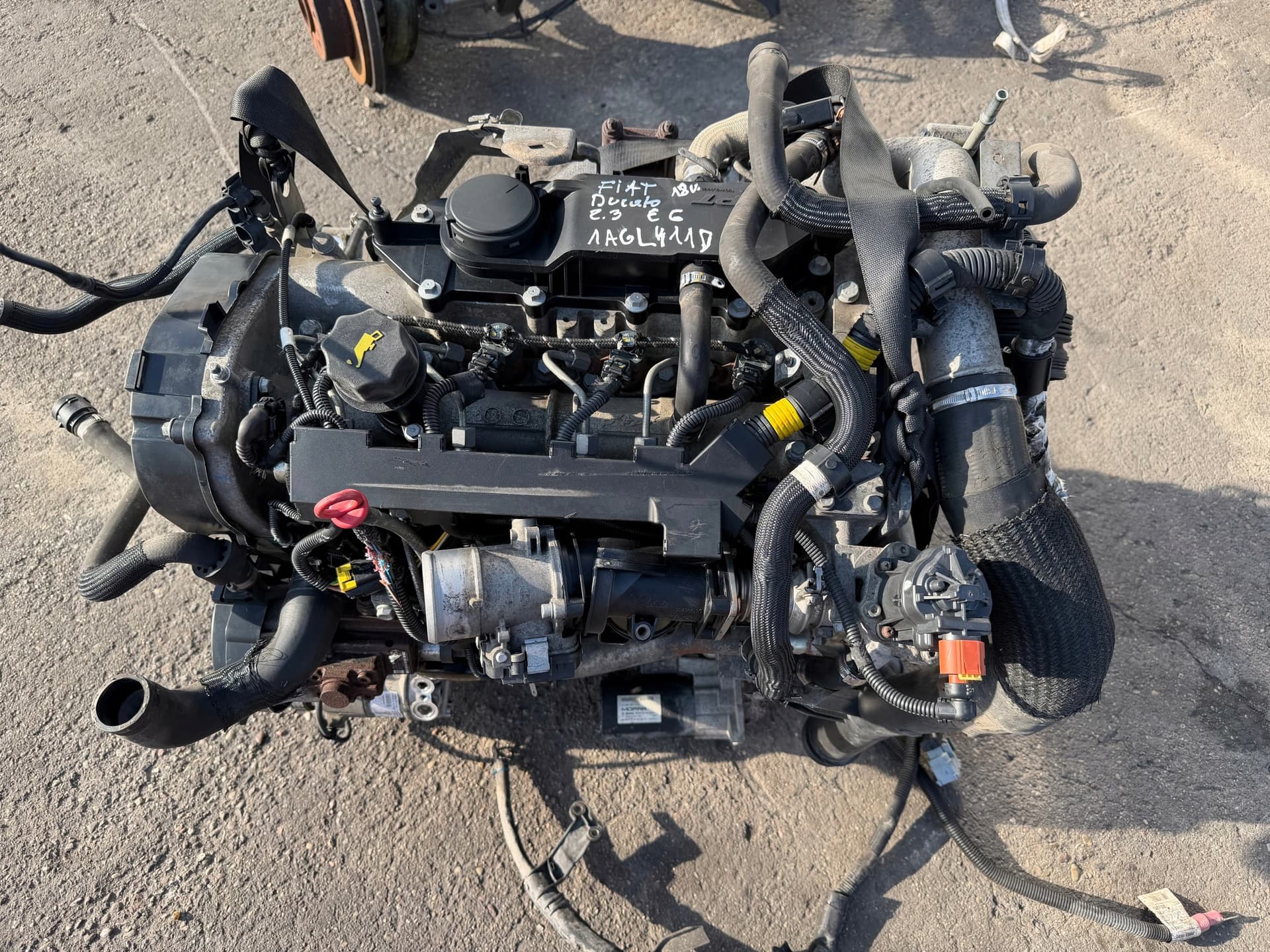 Moteur F1AGL411D — vue 8