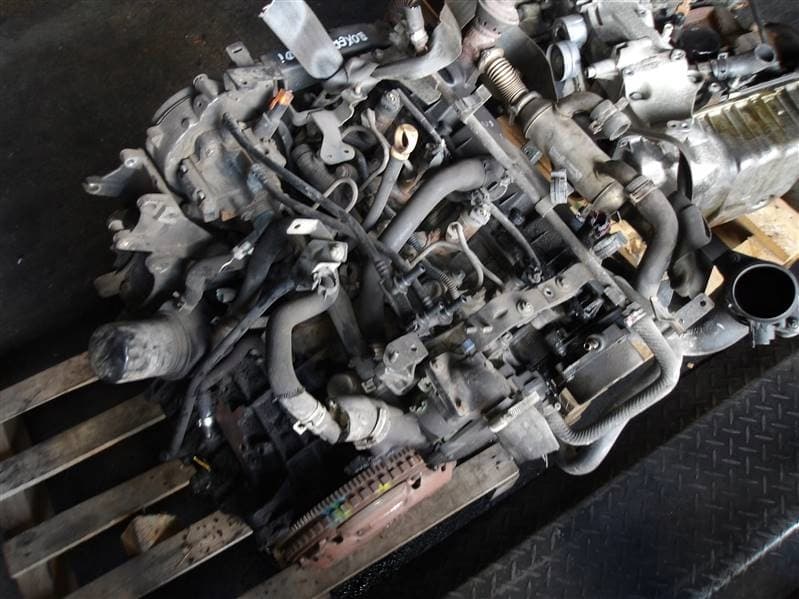 Moteur RHV (DW10UTD) - Image 1